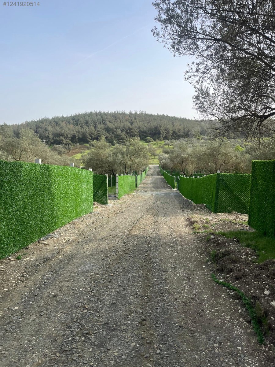 İZMİR-ALİAĞA-BOZKÖY’DE TARLA’NIN 300 M² ‘Sİ SATILIKTIR - İZMİR ALİAĞA fotoğraf 33